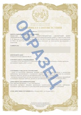 Образец Сертификат СТО 01.064.00220722.2-2020 Чамзинка Сертификат СТО 01.064.00220722.2-2020 